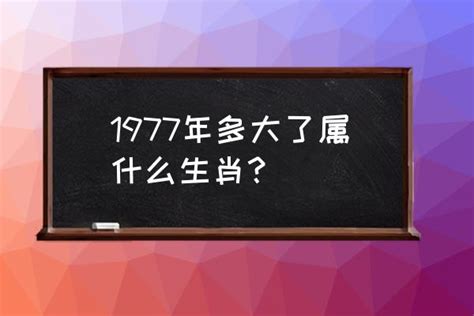 77年次生肖|1977年属什么生肖